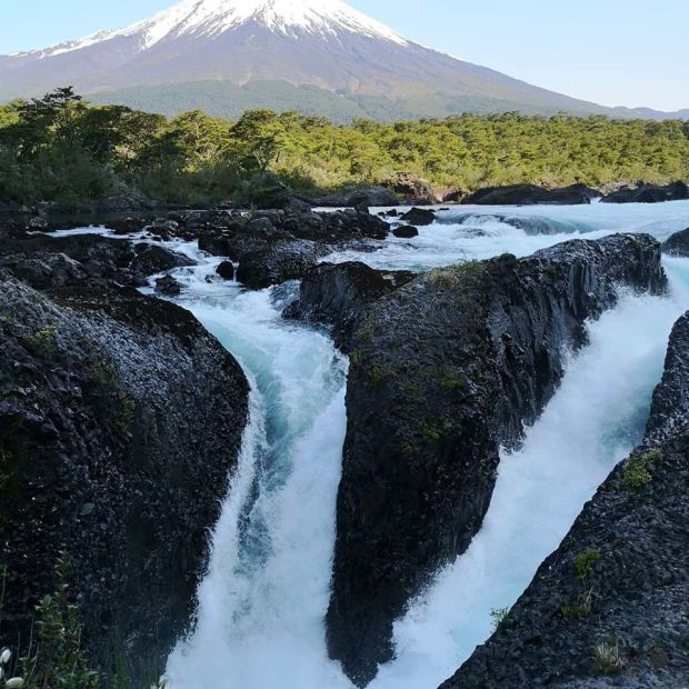 82639554_10158112834195921_5802356471635116032_o